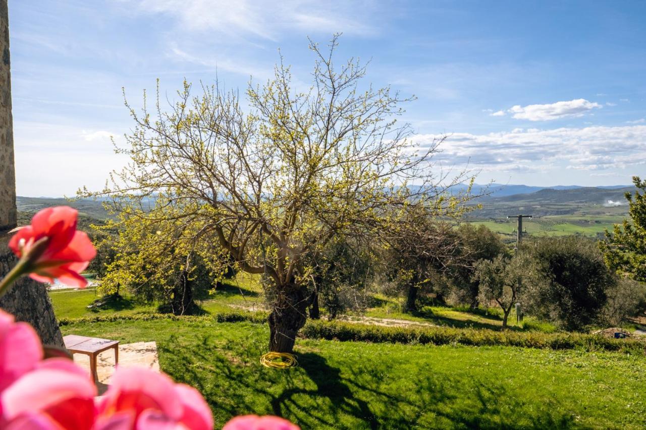 Podere Montale Il Borgo Seggiano Exterior photo